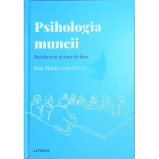 PSIHOLOGIA MUNCII. RANDAMENT SI STARE DE BINE