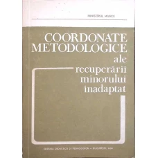 COORDONATE METODOLOGICE ALE RECUPERARII MINORULUI INADAPTAT