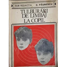 TULBURARI DE LIMBAJ LA COPIL