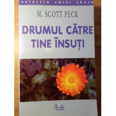 DRUMUL CATRE TINE INSUTI