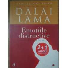 EMOTIILE DISTRUCTIVE. CUM LE PUTEM DEPASI
