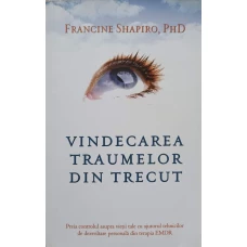VINDECAREA TRAUMELOR DIN TRECUT