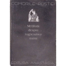 MEDITATII DESPRE RUGACIUNEA INIMII