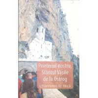 PRIETENUL NOSTRU, SFANTUL VASILE DE LA OSTROG