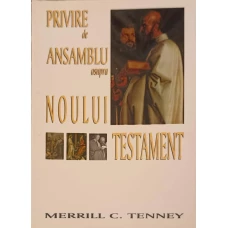 PRIVIRE DE ANSAMBLU ASUPRA NOULUI TESTAMENT