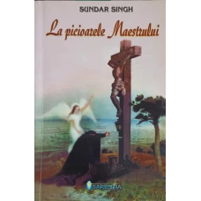 LA PICIOARELE MAESTRULUI