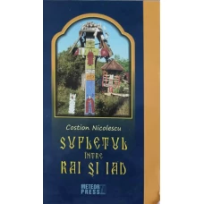 SUFLETUL INTRE RAI SI IAD