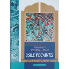 USILE POCAINTEI