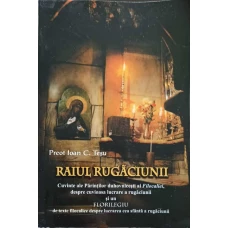 RAIUL RUGACIUNII