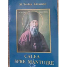 CALEA SPRE MANTUIRE