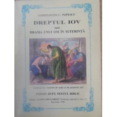 DREPTUL IOV SAU DRAMA UNUI OM IN SUFERINTA