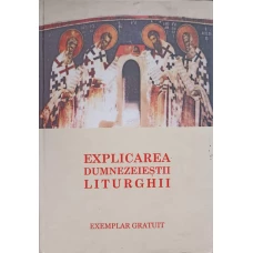 EXPLICAREA DUMNEZEIESTII LITURGHII
