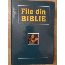 FILE DIN BIBLIE