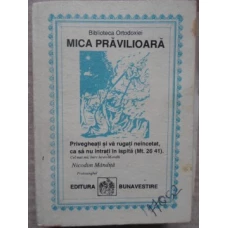 MICA PRAVILIOARA