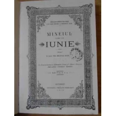 MINEIUL LUNEI LUI IUNIE (XEROX)