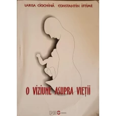 O VIZIUNE ASUPRA VIETII