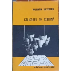CALIGRAFII PE CORTINA. CINCI GLOSE CRITICE