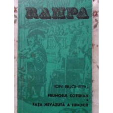 FRUMOSUL COTIDIAN. FATA NEVAZUTA A LUM(N)II. TEATRU