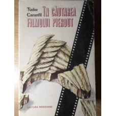 IN CAUTAREA FILMULUI PIERDUT