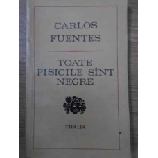 TOATE PISICILE SUNT NEGRE