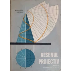 DESENUL PROIECTIV, MANUAL PENTRU CLASA A X-A