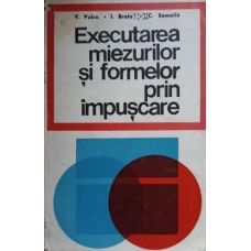 EXECUTAREA MIEZURILOR SI FORMELOR PRIN IMPUSCARE