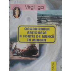 ORGANIZAREA RATIONALA A FORTEI DE MUNCA IN MINERIT