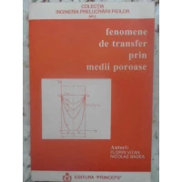 FENOMENE DE TRANSFER PRIN MEDII POROASE FENOMENE DE TRANSFER PRIN MEDII POROASE