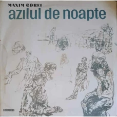 AZILUL DE NOAPTE. SET 2 DISCURI VINIL