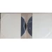 BOLNAVUL INCHIPUIT. SET 2 DISCURI VINIL