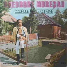 CODRULE, FRATE CU MINE