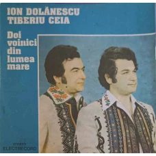 DOI VOINICI DIN LUMEA MARE