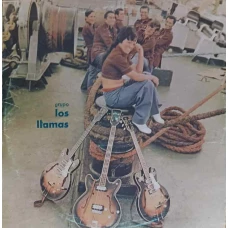GRUPO LOS LLAMAS