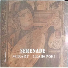 MICA SERENADA NOCTURNA. SERENADA PENTRU ORCHESTRA DE COARDE OP.48