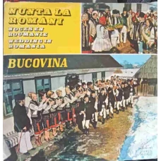 NUNTA LA ROMANI. BUCOVINA. SET 2 DISCURI VINIL