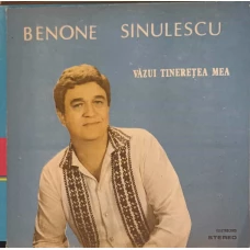 VAZUI TINERETEA MEA