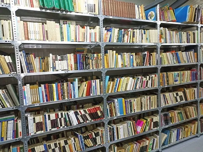 Cărți vechi pe rafturi, Anticariat Ursu Iași