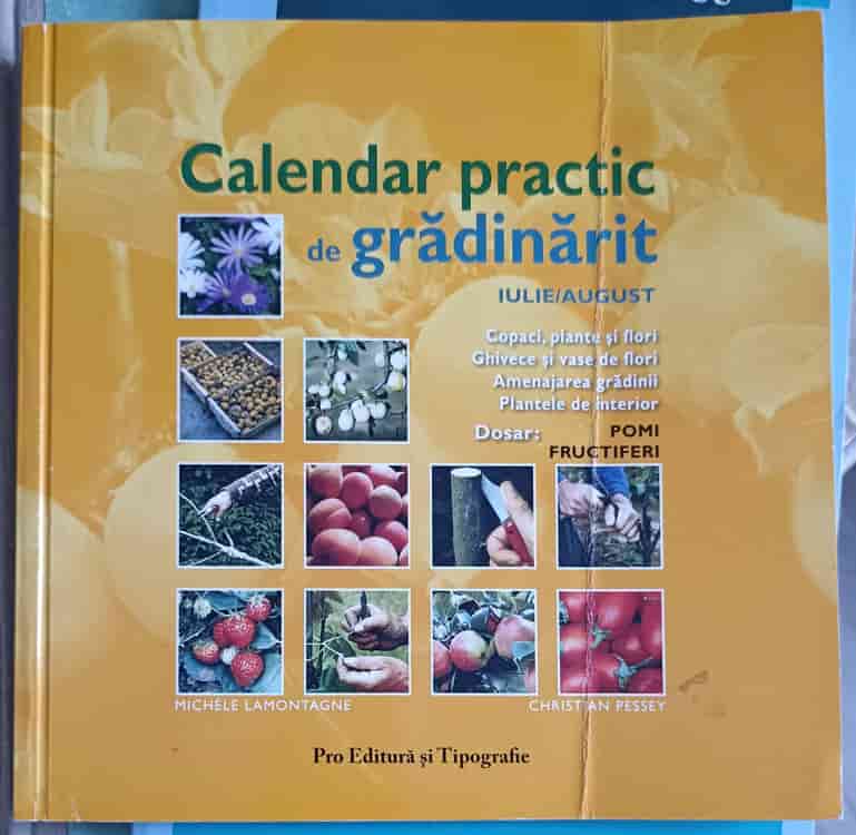 Calendar practic de gradinarit iulie-august: pomii fructiferi