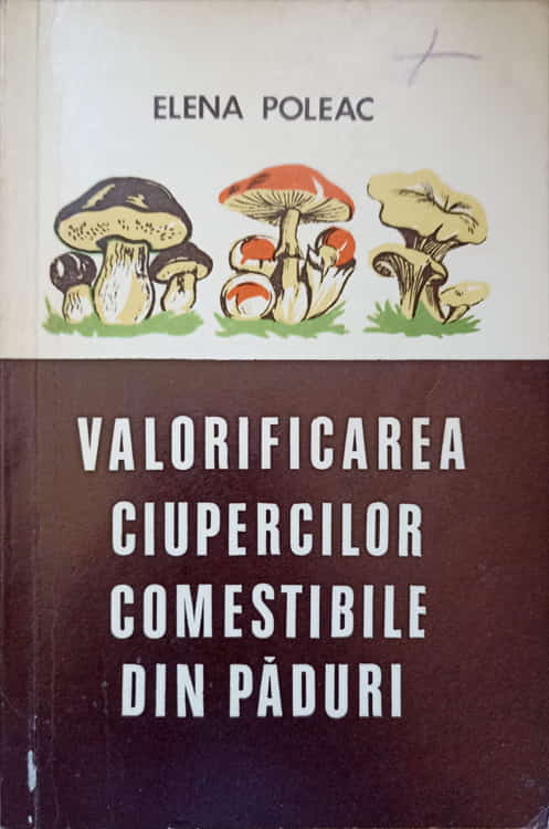 Vezi detalii pentru Valorificarea Ciupercilor Comestibile Din Paduri