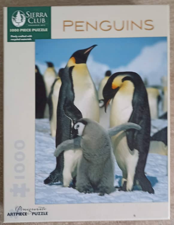 Vezi detalii pentru Puzzle 1000 Piese - Penguins