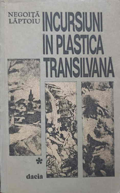 Vezi detalii pentru Incursiuni In Plastica Transilvana