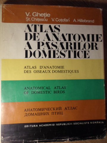 Vezi detalii pentru Atlas De Anatomie A Pasarilor Domestice (in Limbile: Romana, Franceza, Engleza, Rusa)