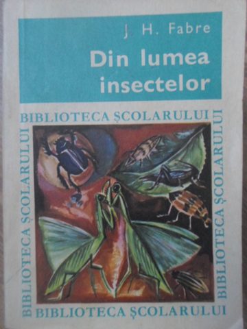 Din Lumea Insectelor