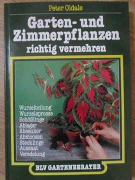 Garten-und zimmerpflanzen richtig vermehren