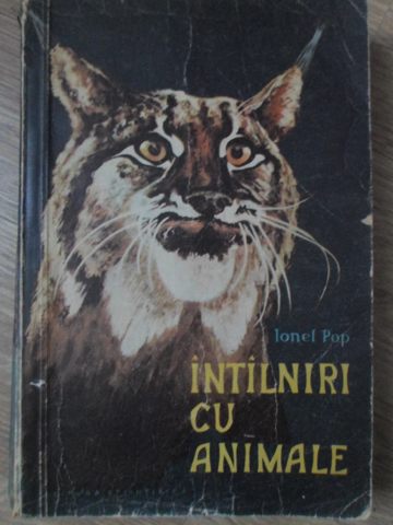 Vezi detalii pentru Intalniri Cu Animale