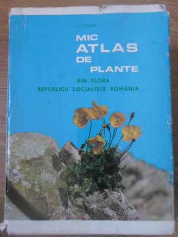 Mic Atlas De Plante Din Flora Romaniei