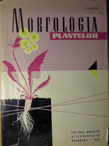 Morfologia Plantelor