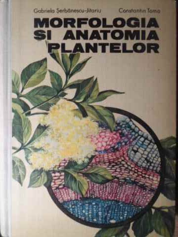 Morfologia Si Anatomia Plantelor