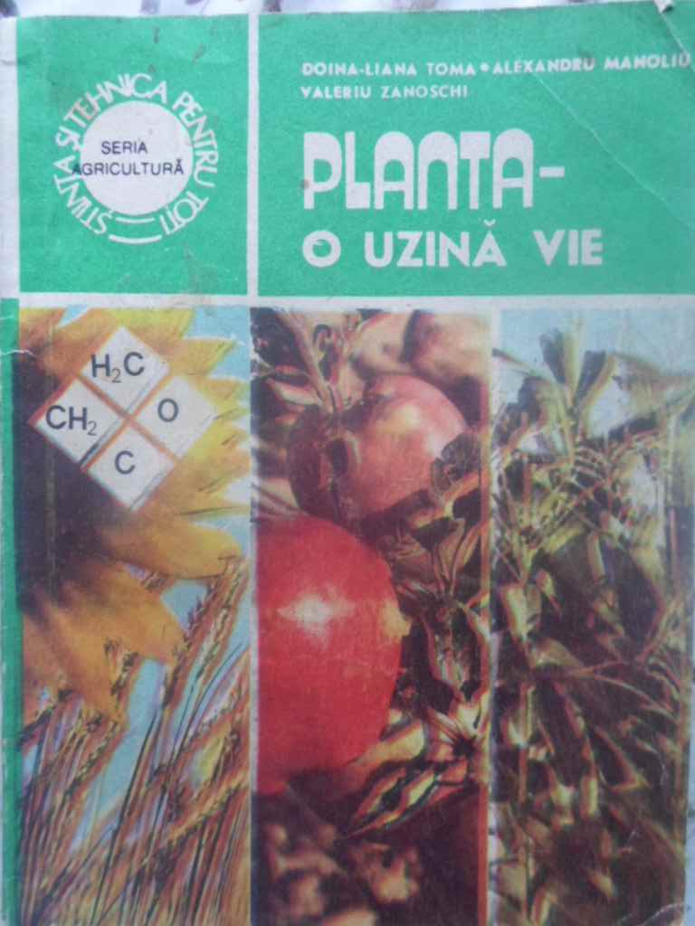 Planta - O Uzina Vie