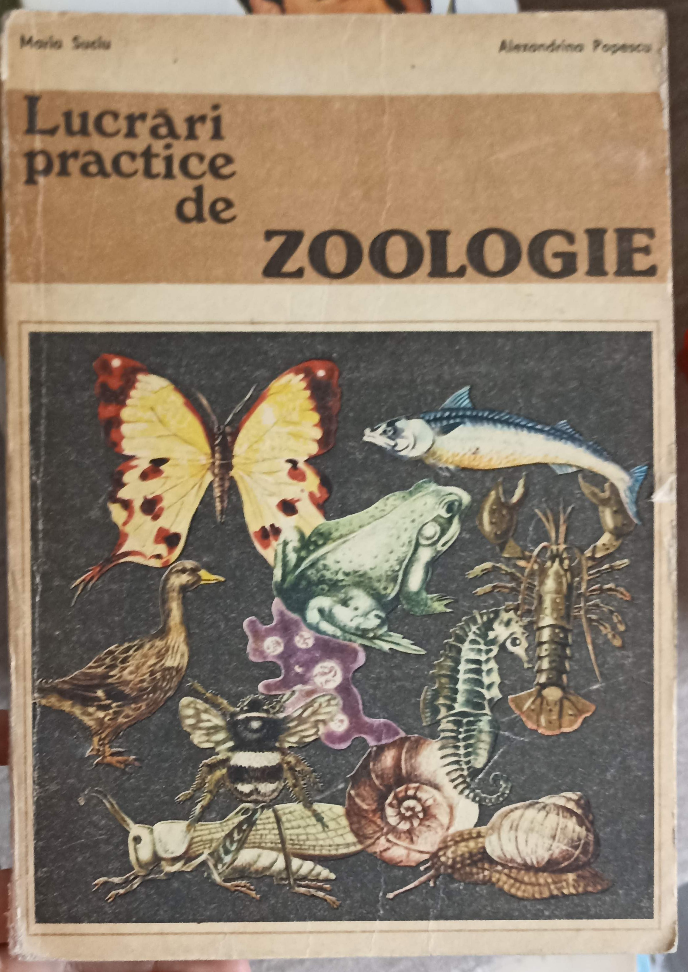 Lucrari Practice De Zoologie